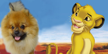 Simba+Simba